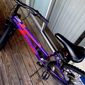 Purple Bike